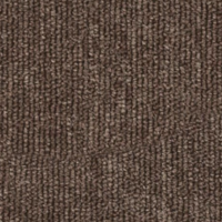 XN01 - كنج بني